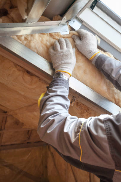 Best Specialized Insulation Services in Homedale, ID
