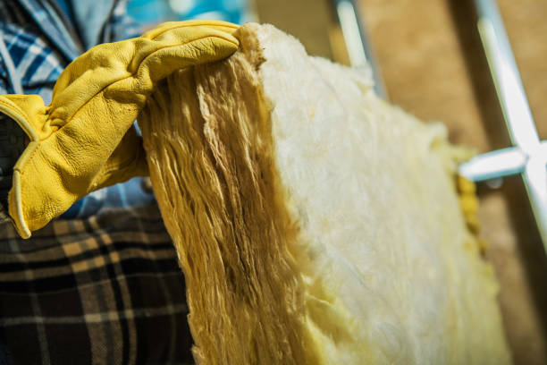 Professional Insulation Contractor in Homedale, ID