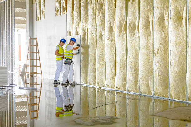 Best Spray Foam Insulation in Homedale, ID